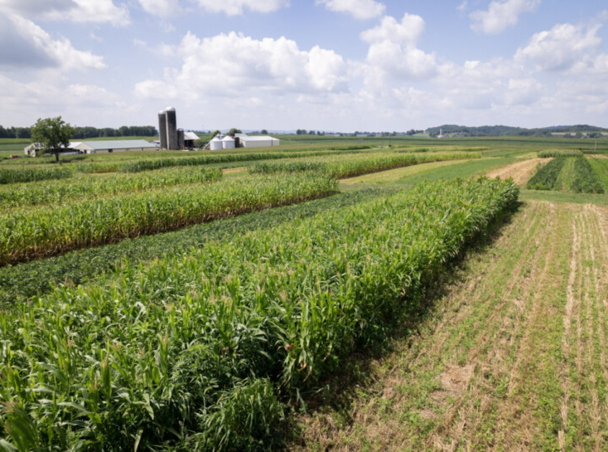 Photo by: www.pexels.com 